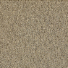 Ковровая плитка Interface Superflor 9194 Berber Beige фото 1 | FLOORDEALER